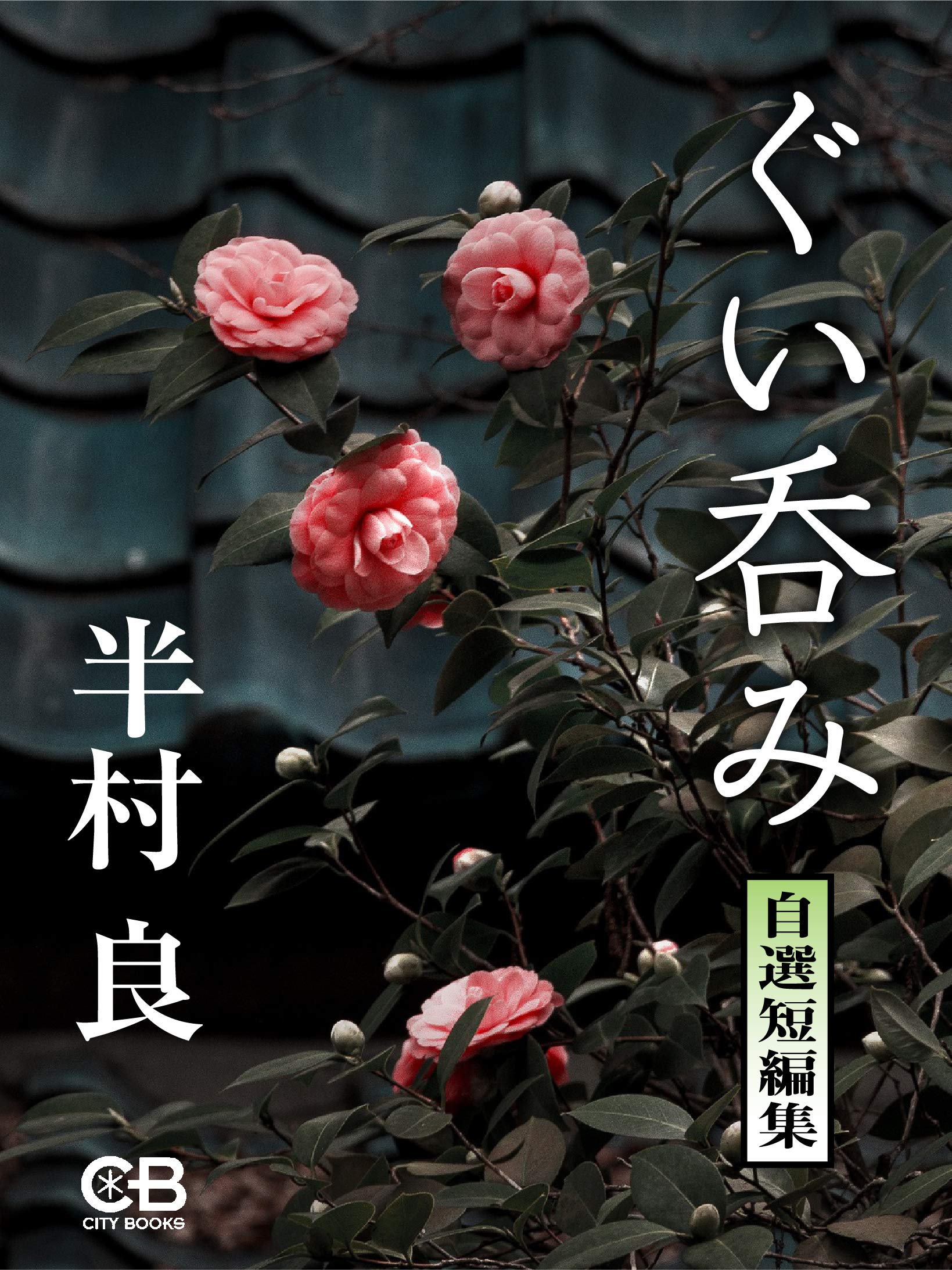 Amazon.com: Ryō Hanmura: books, biography, latest update